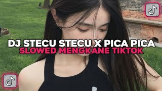 Download lagu DJ STECU STECU X PICA PICA | ADUH ABANG BUKAN MAKSUDKU BEGITU VIRAL TIKTOK TERBARU 2025 mp3 Download lagu DJ STECU STECU X PICA PICA | ADUH ABANG BUKAN MAKSUDKU BEGITU VIRAL TIKTOK TERBARU 2025 mp3