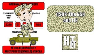 CSDP- National Stock Number (NSN) and Line Item Number (LIN)