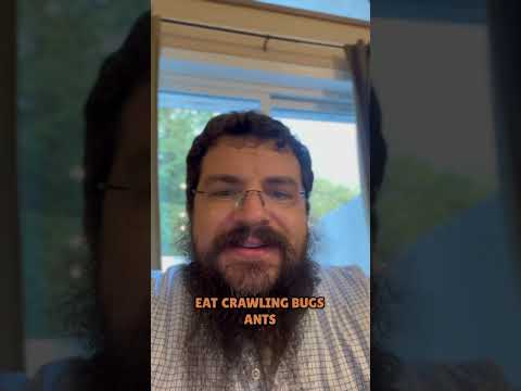 “…And G-d said ‘Don’t do this, for this BUGS me!’” Daily Mitzvah day #92