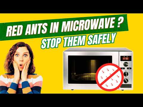 How to Get Rid of Red Ants from Your Microwave
