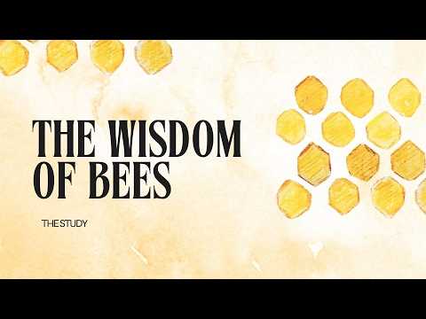 The Wisdom of Bees