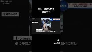 #ニュース#放送事故#女子アナ#福井アナ#壺浅#ツボる