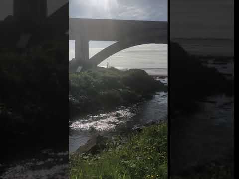 The beginning of the small sidewalk/“trail” from the campsite area to the beach 