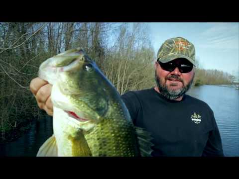 The Absolute Best Baits to use during the Bass Spawn with Greg Hackney