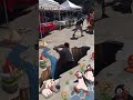 Zach King Magic Vines Compilation 2022 Best Zach King