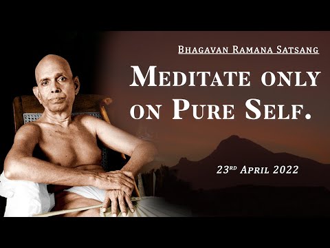 381. Bhagavan Ramana Satsang -  Meditate only on Pure Self.