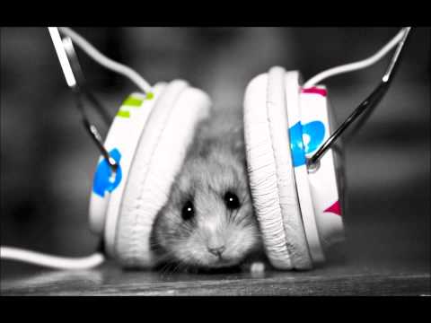 party boy dj layla ft radu sirbu & armina rosi