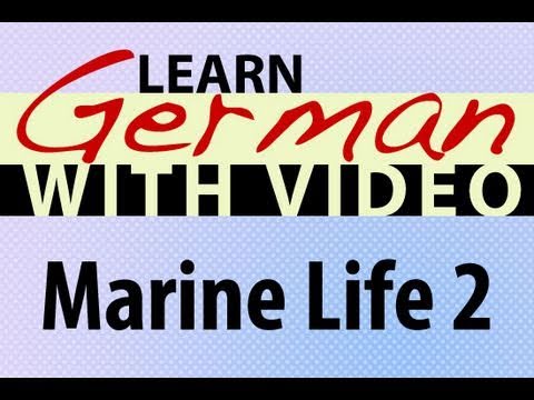 Learn German with Video Common Animals