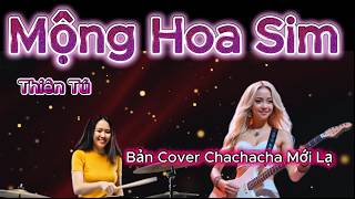 Mộng Hoa Sim - Độc Lạ Chachacha Sôi Động . 