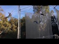 Trapeze High Records Day Trapeze Challenges