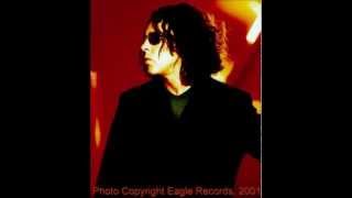 Happy Body Slow Brains - Maybe Our Days Are Numbered ( Roland Orzabal &#39;s cover)