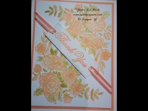 Climbing Roses Thank You Card