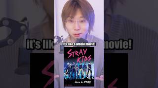 Download lagu Stray Kids and STAY are perfect match! mp3