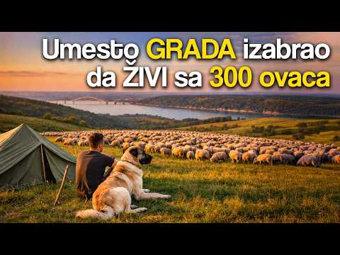 Ima 21 godinu, ŽIVI u ŠATORU na Fruškoj gori i čuva 300 OVACA | Izazovi Avanturu