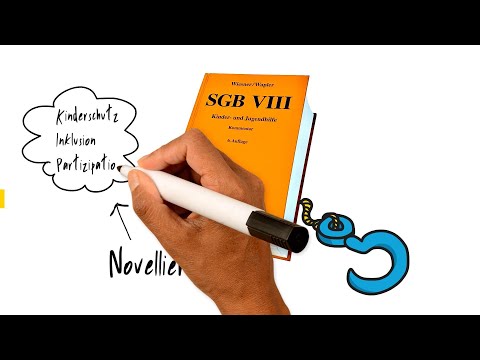TRAILER: AUS DER SPUR GEKOMMEN Die SGB VIII Reform - Folgen für die individualpädagogische Arbeit