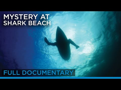 Mystery at Shark Beach (full documentary) | Earth Touch TV