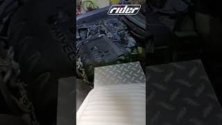 Rider