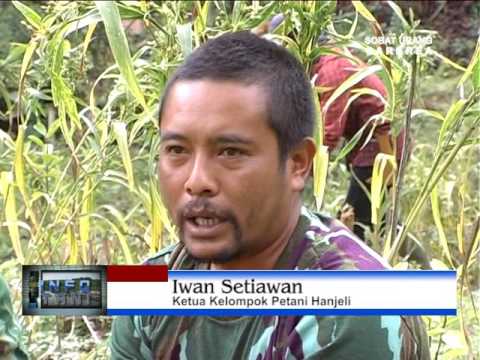 Berapa biaya untuk extender pembesaran penis Saya memiliki penis kecil yang saya bisa untuk membawa gadis itu untuk orgasme