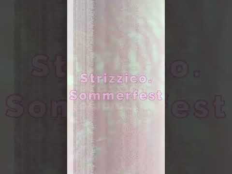 Strizzico. Sommerfest #2 - 12.8. - Szene Wien