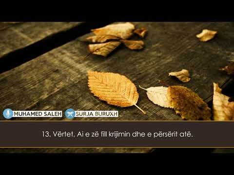 Muhamed Saleh - Surja Buruxh