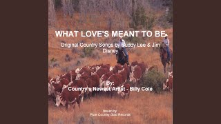 The Wisdom of a Fool