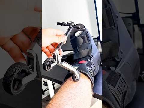 E-Leg Regen…