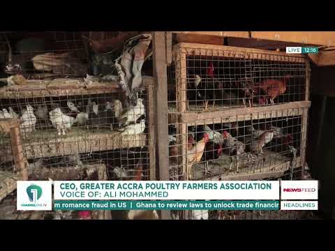 Poultry Farmers’ Association Rejects Reports of 15% Price Hike