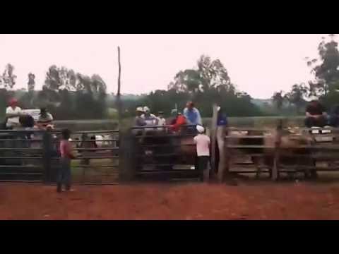 Treinos Cia De Rodeio Planeta Boi Arthur Gomes vs sujeito
