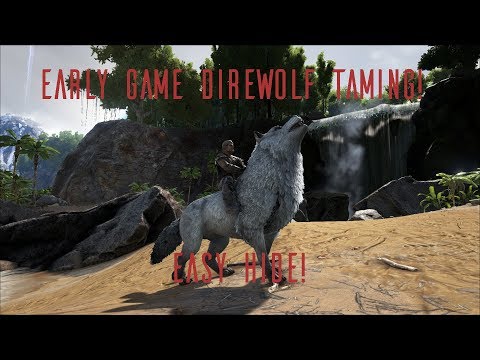 ARK How to Tame a Direwolf Early Game & Easy Hide!