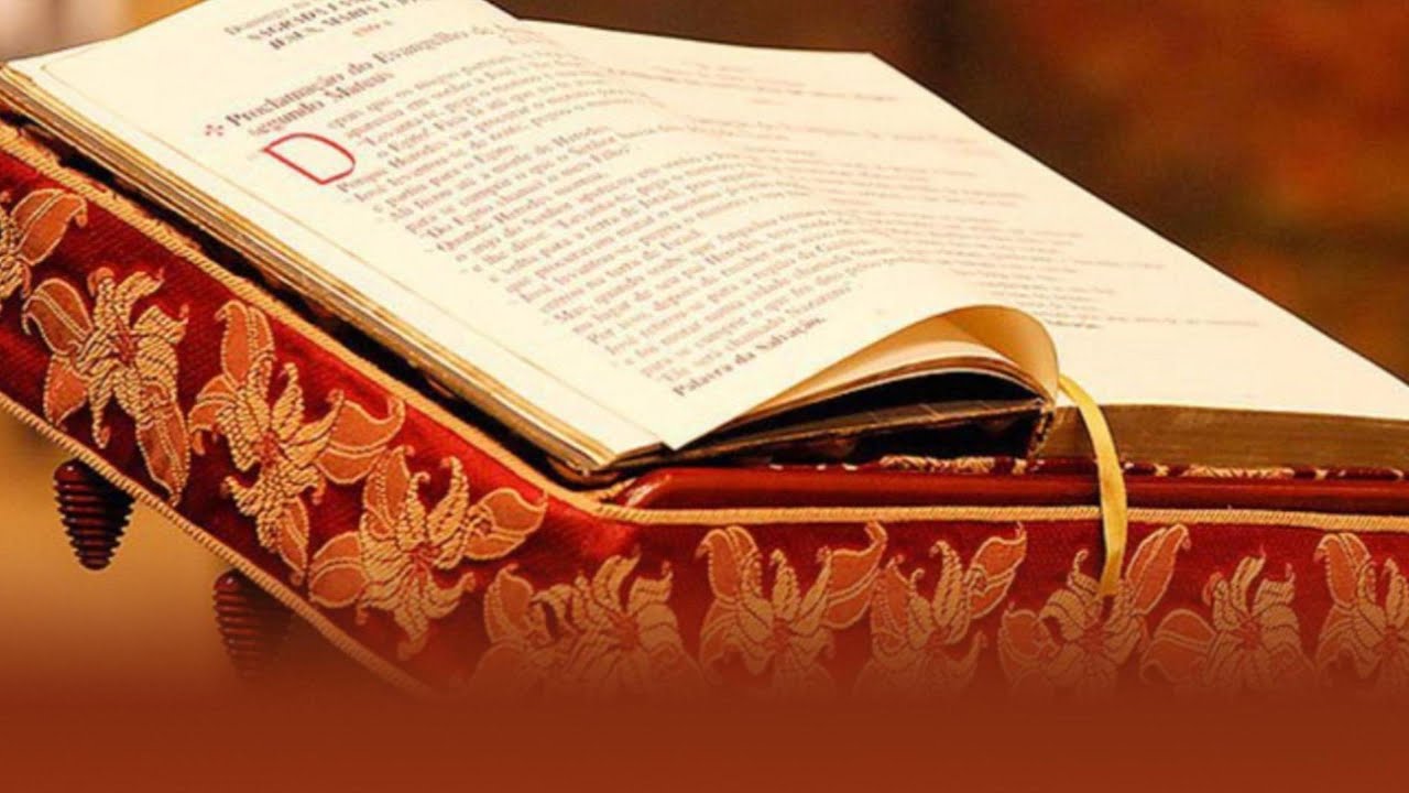 Meditação do Evangelho 22 de Outubro 2024