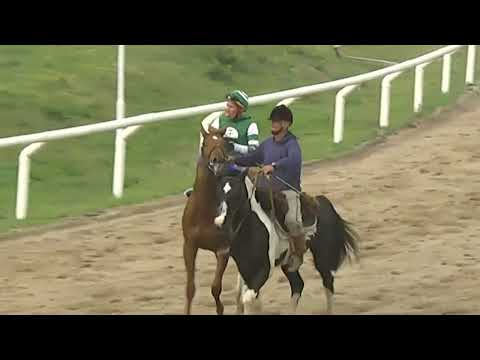 SINT COLONIA 230921 c07 - 1° NARANJO EN FLOR