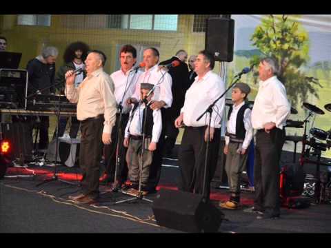 radojko stojkovic i grupa moravci