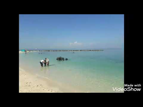 Scuba diving in Bermuda dive centre, Sunset beach, Jumeirah