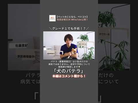 膝脱臼 – それは何ですか、それを治療する方法、症状、そして何をすべきか