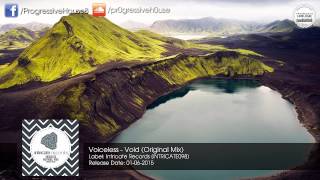 Voiceless - Void (Original Mix) [Intricate Records]