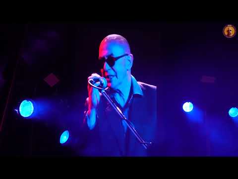 Rezando solo - Indio (virtual) y Los Fundamentalistas del Aire Acondicionado - A los pájaros -2021