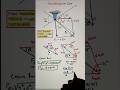 Resultant Force Angle Parallelogram Law Explained