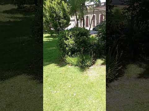🌿 DISEÑO EN JARDÍN, PLAZA DE ROSARIO, COLONIA, URUGUAY.