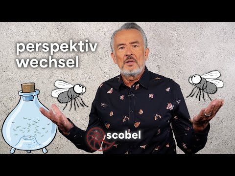 Philosophie als Therapie: Der Ausweg aus dem Fliegenglas – scobel