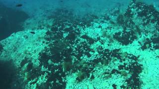 preview picture of video 'Scuba Diving in Potos (Thassos, Greece) cu Vasilis Vasiliadis Diving School'