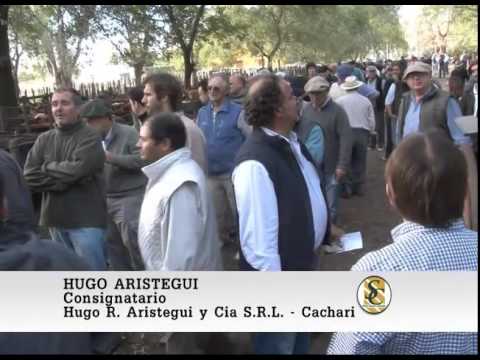 13-0515 Nota Hugo Aristegui - Hugo R. Aristegui y Cia S.R.L. - Cacharì