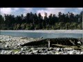 MASSIVE Prehistoric Crocodiles Walking With Dinosaurs In HQ BBC Earth