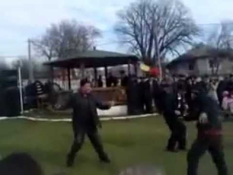 1 decembrie 2012    miclesti vaslui