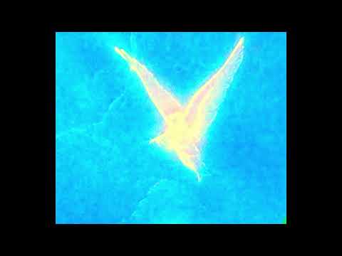 [FREE] Melodic Plugg x Playboi Carti x Lucki Type Beat - 'golden'