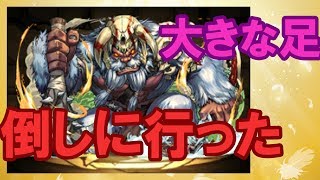【パズドラ】大きな足の人に勝負を挑んだ！油断した結果。。。！？