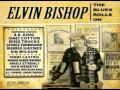 Elvin Bishop - Come On in This House