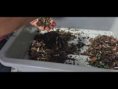 resetting the breeder bin jan 21 2024