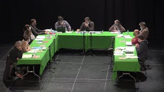 Ple municipal (Vallromanes) 15 octubre 2020 (3)