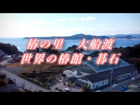 椿の里・大船渡「世界の椿館・碁石」紹介ＰＶ