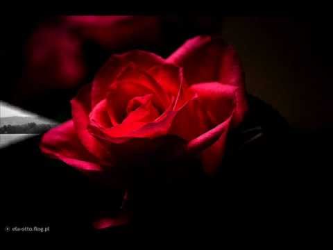 WALEŚ LOVEMIX Prod WRS